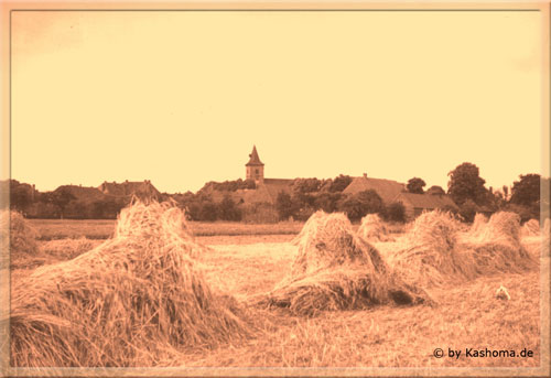 Landschaft Amt Neuhaus