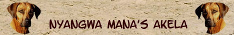 Nyangwa Manas Akela