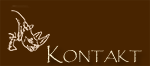 Kontakt