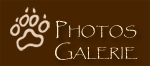 Photogalerie