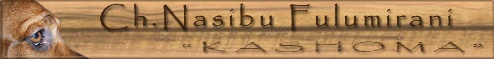 Banner Rani