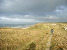 Stranddüne